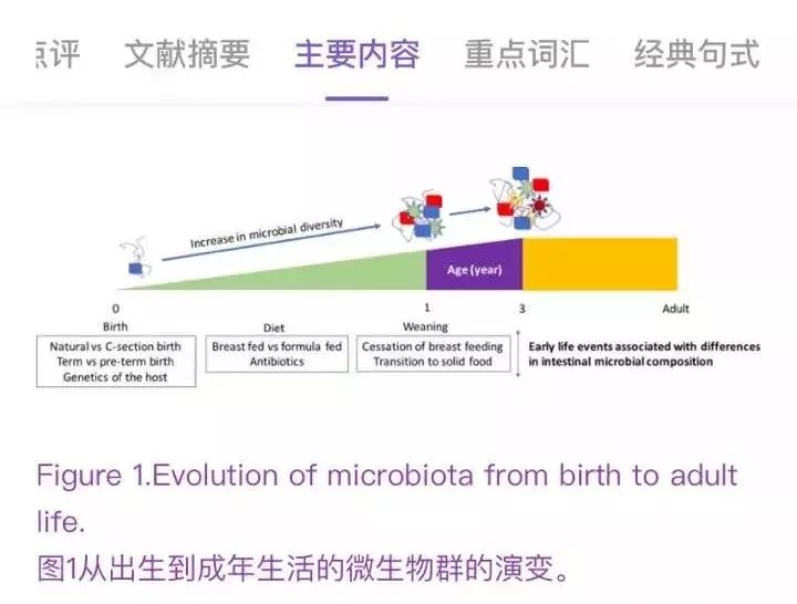 新奥精准资料免费提供630期_绝对经典含义落实_精简版21.243.105.146