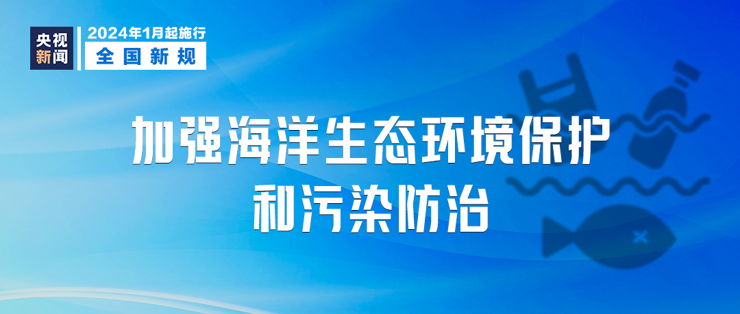 新澳2024年最新版资料_绝对经典核心落实_BT31.57.50.164