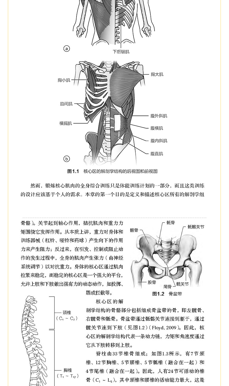 新奥免费精准资料051_最新核心解剖落实_尊贵版192.218.120.160