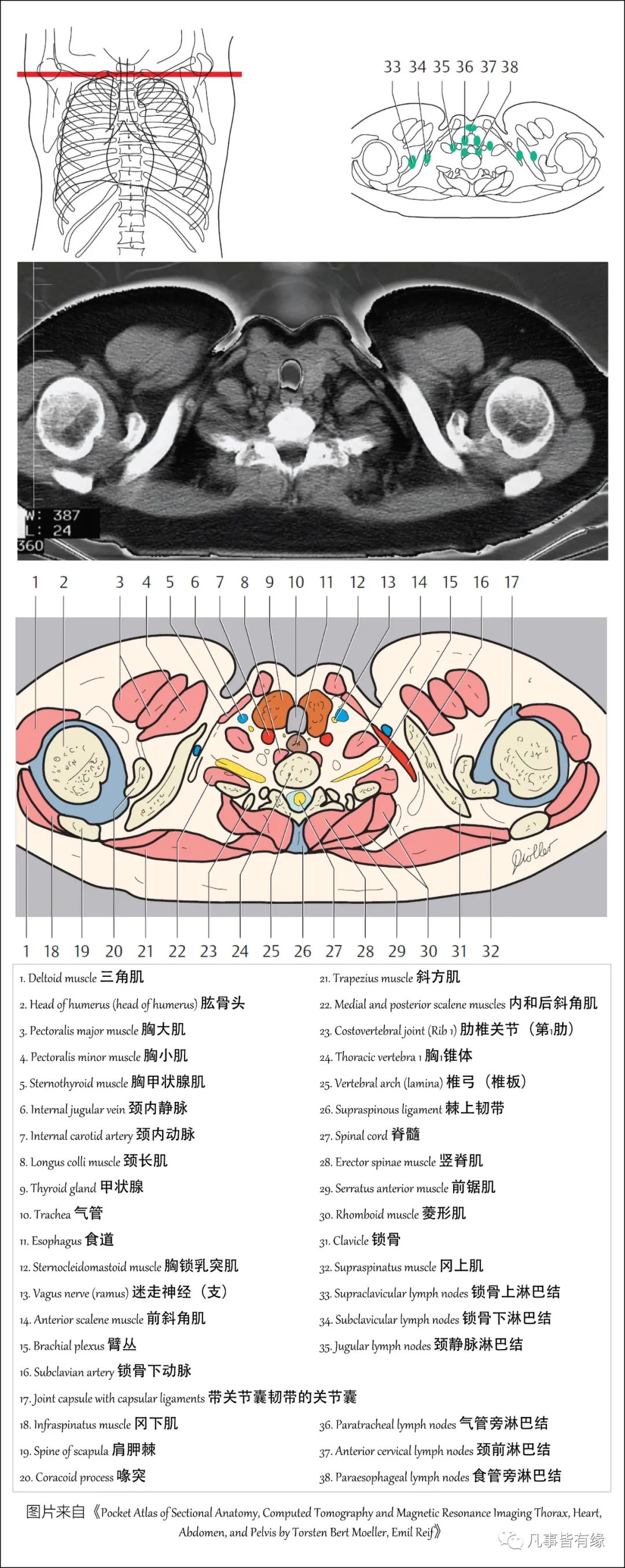 核心解剖