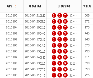 2024澳门天天开好彩大全开奖结果_解析实施_准确资料_VS195.31.78.9