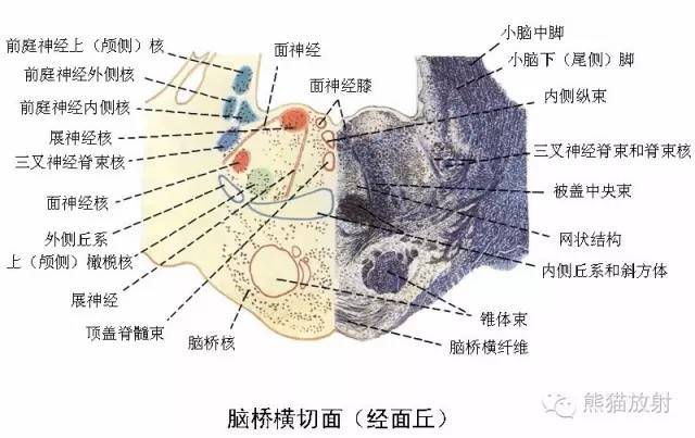 澳门彩正版资料网站揭秘_解剖落实_最新答案_VS208.198.203.155